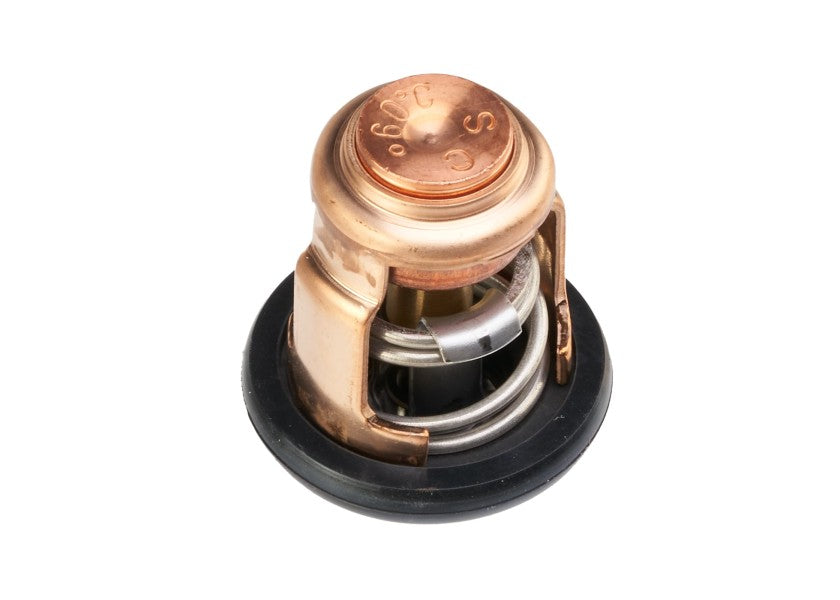 THERMOSTAT ASSY