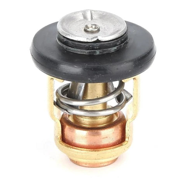 THERMOSTAT ASSY