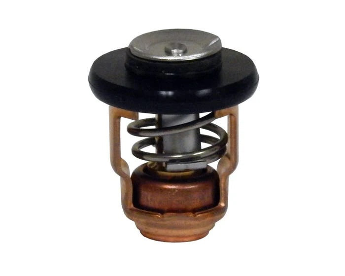 THERMOSTAT ASSY