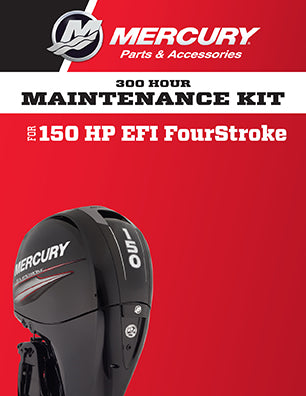 SERV KIT-300 HRS